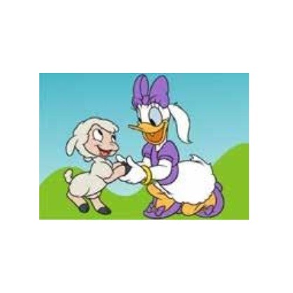 Disney Daisy Duck Kum Boyama Kartı M, 25Adet(23,5X33cm)-Red Castle KM128