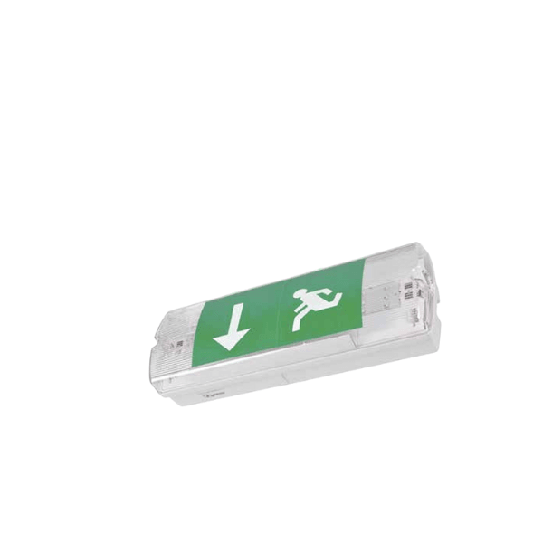Ausled 10W IP65 AC/DC Led Acil Aydınlatma Armatürü