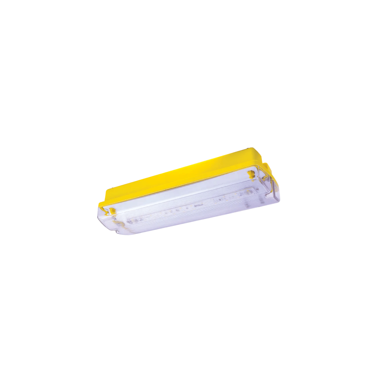 Ausled Ex-Proof Acil Aydınlatma | 15W 6500K LED