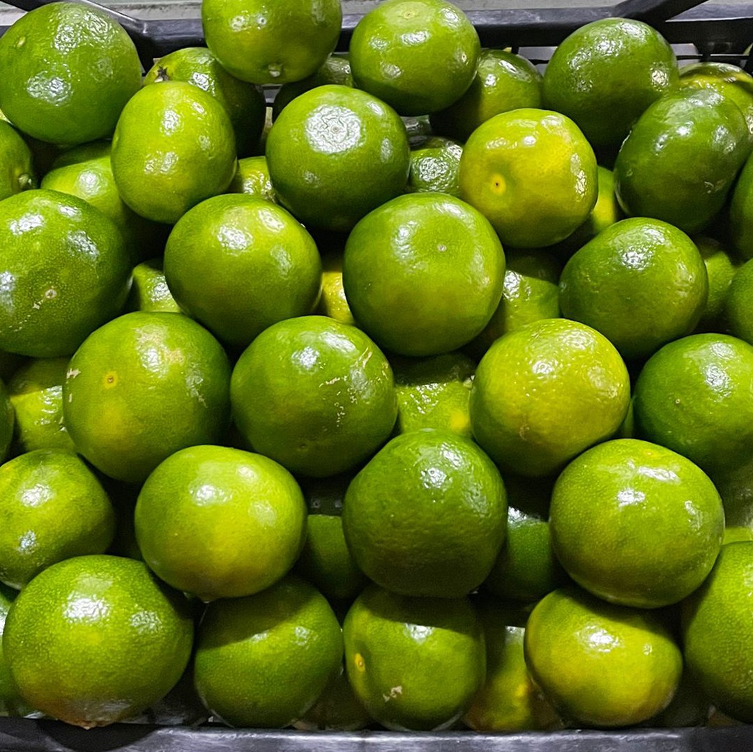 Okitsu Mandalina (15 kg)