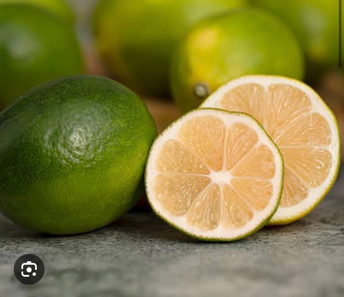 Meyer(Mayer) Limon 3 kg