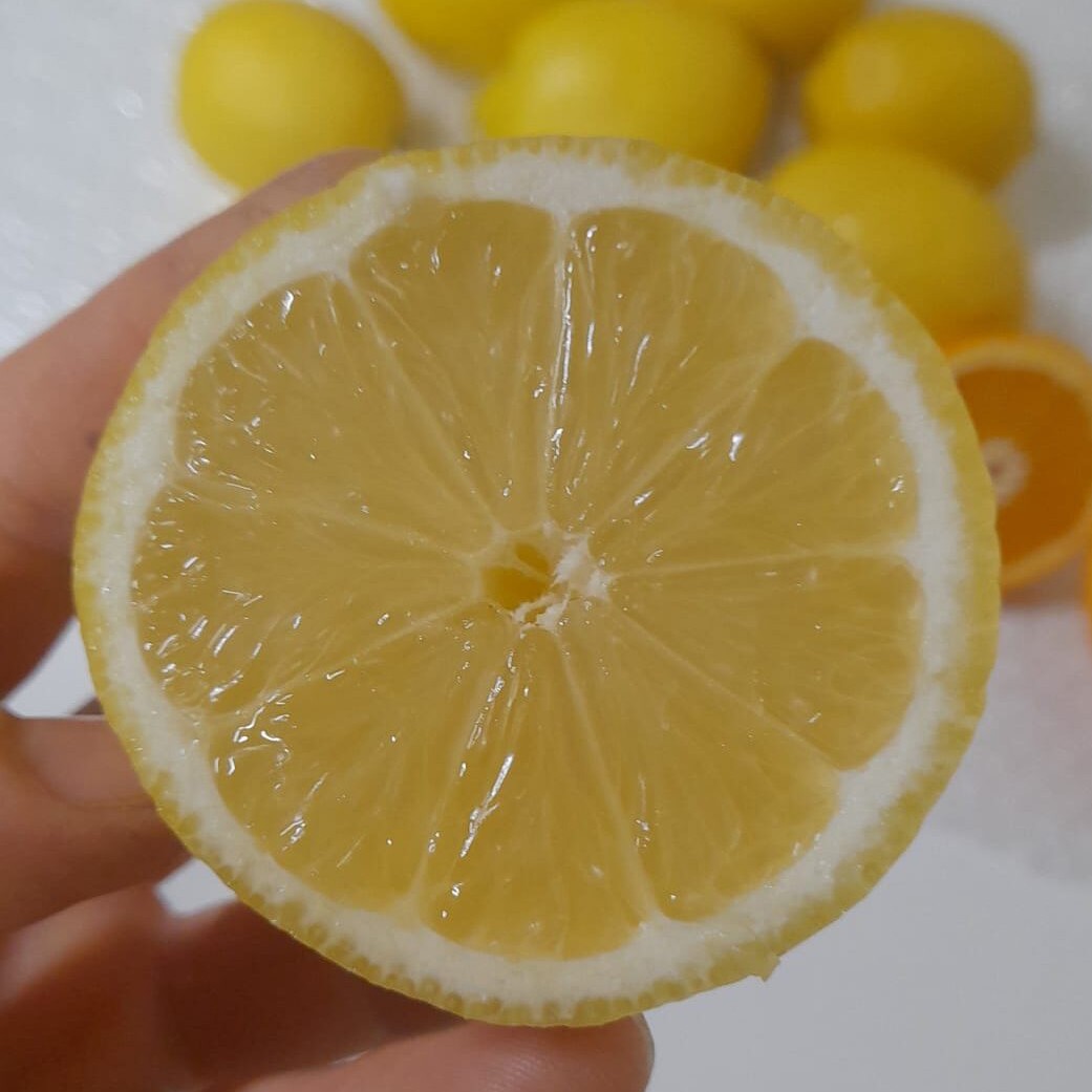 Lamas Limon (3 kg)