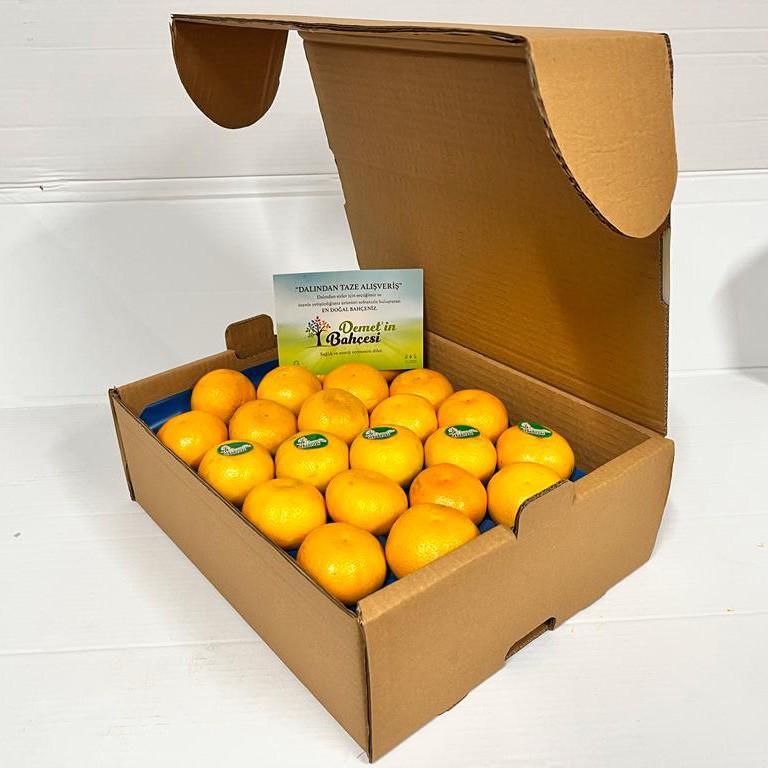 Clementine Mandalina (1 kg)