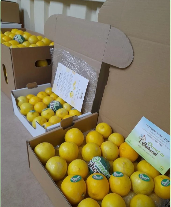 Tatlı Limon (1kg)