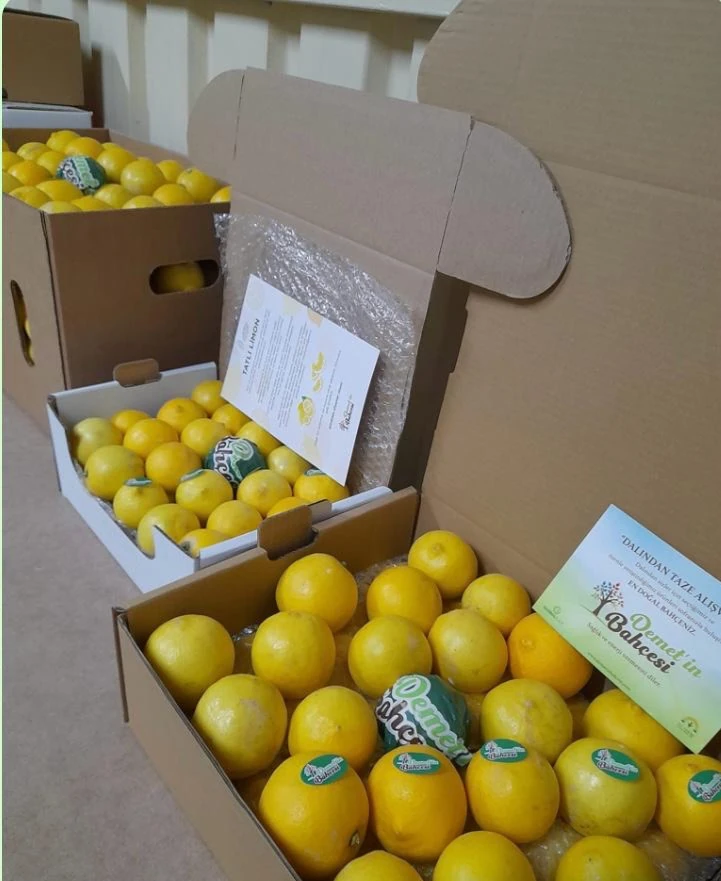 Tatlı Limon (3kg)