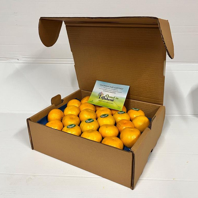 Clementine Mandalina (1 kg)