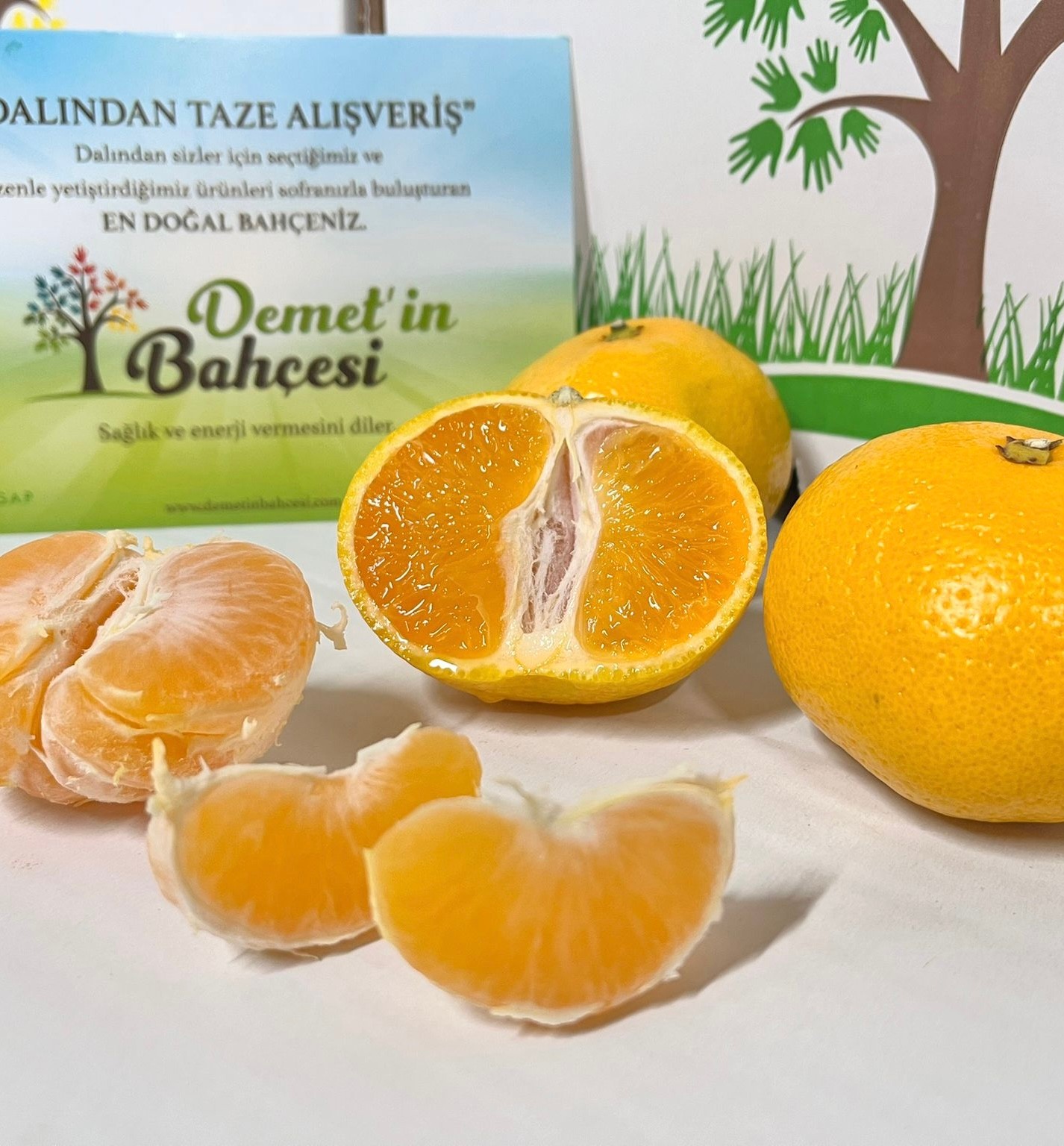 Octubrina Mandalina (15 kg)