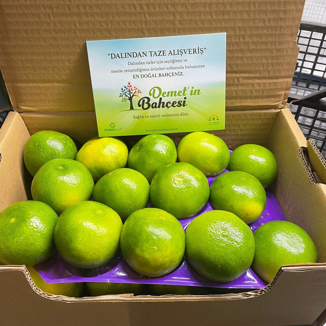 Okitsu Mandalina (15 kg)