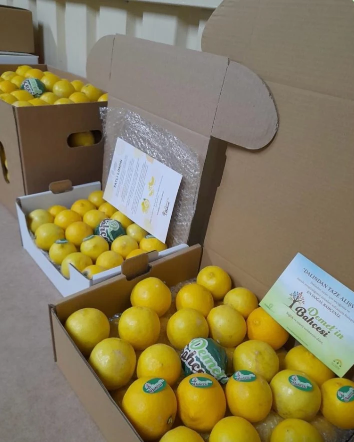 Tatlı Limon (20kg)