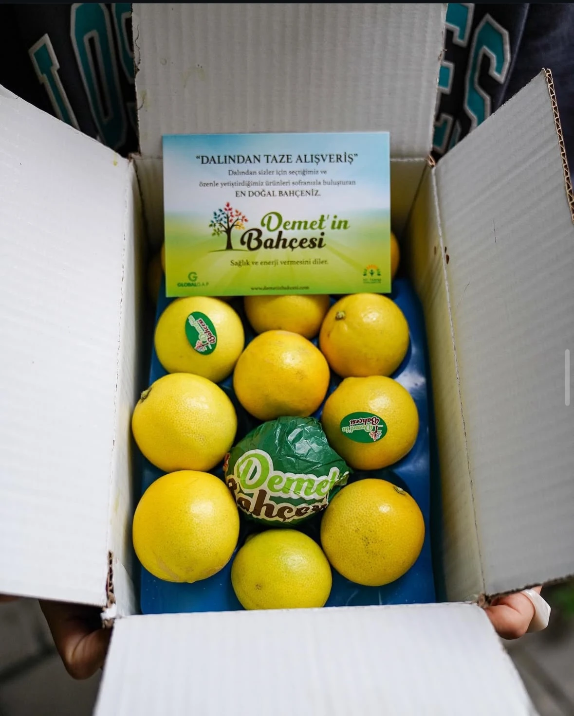 Tatlı Limon (3kg)