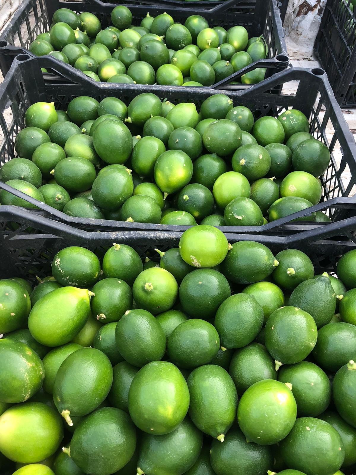 lime 5 kg
