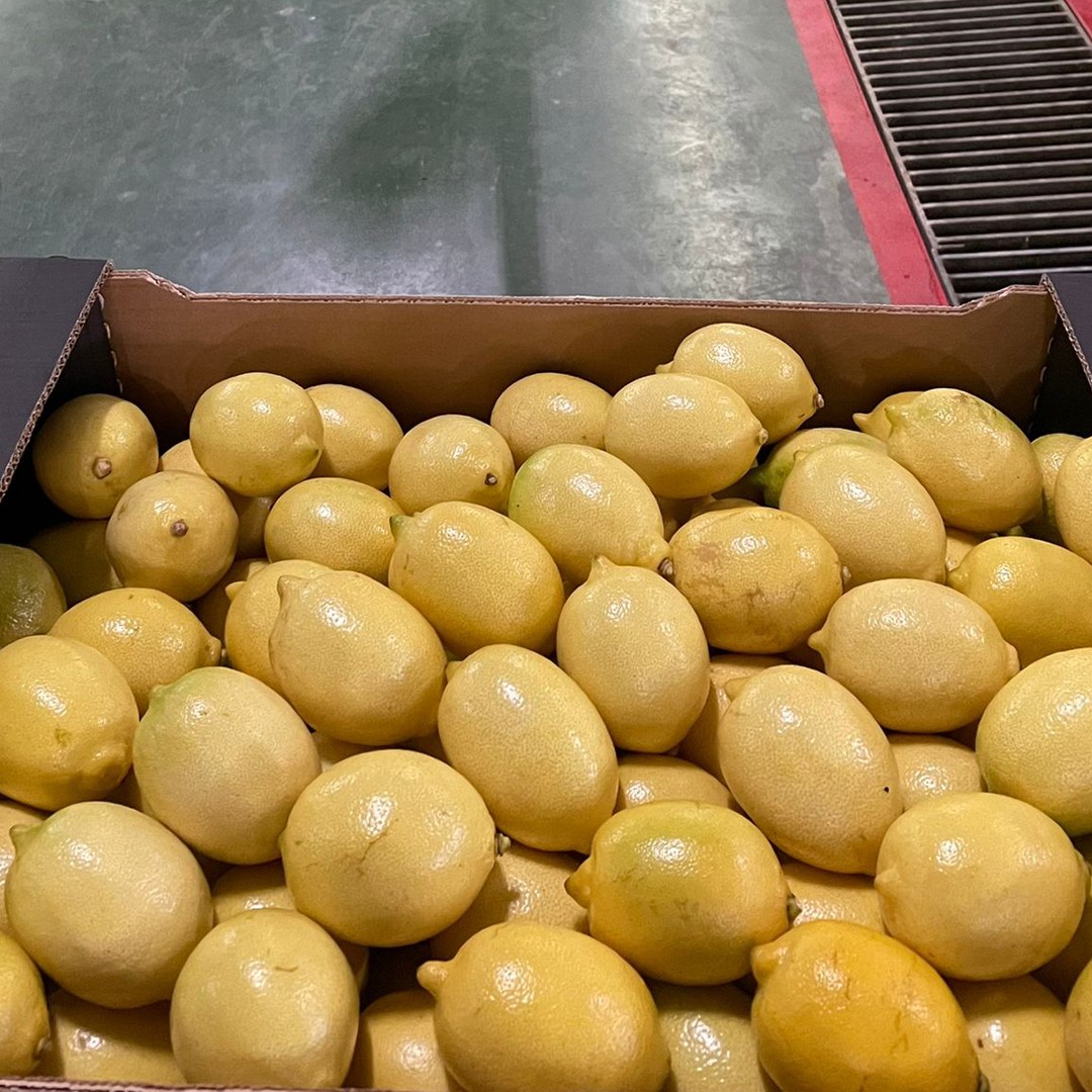 Enterdonat Limon (20 kg)