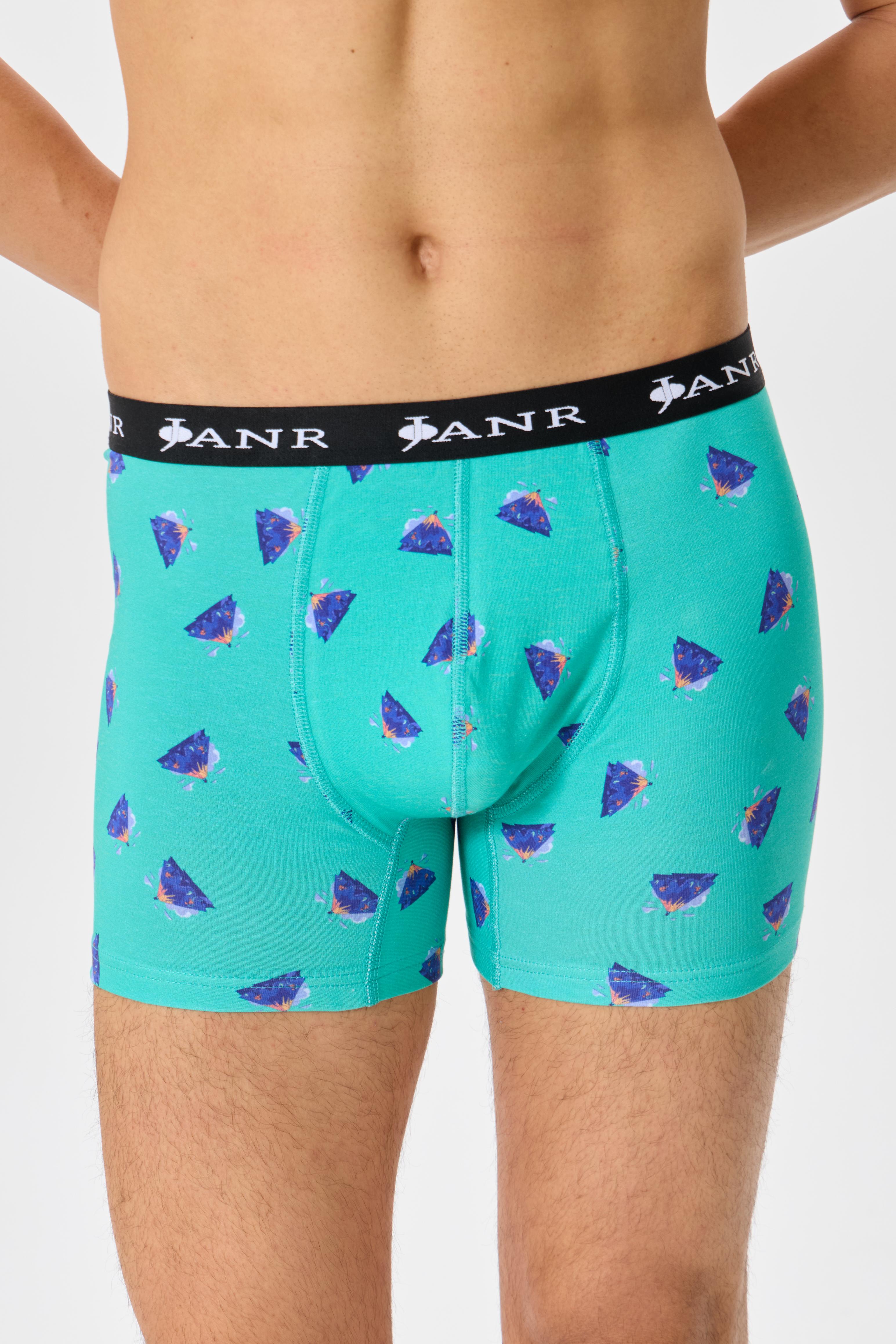 Passionate Explorations Erkek Boxer