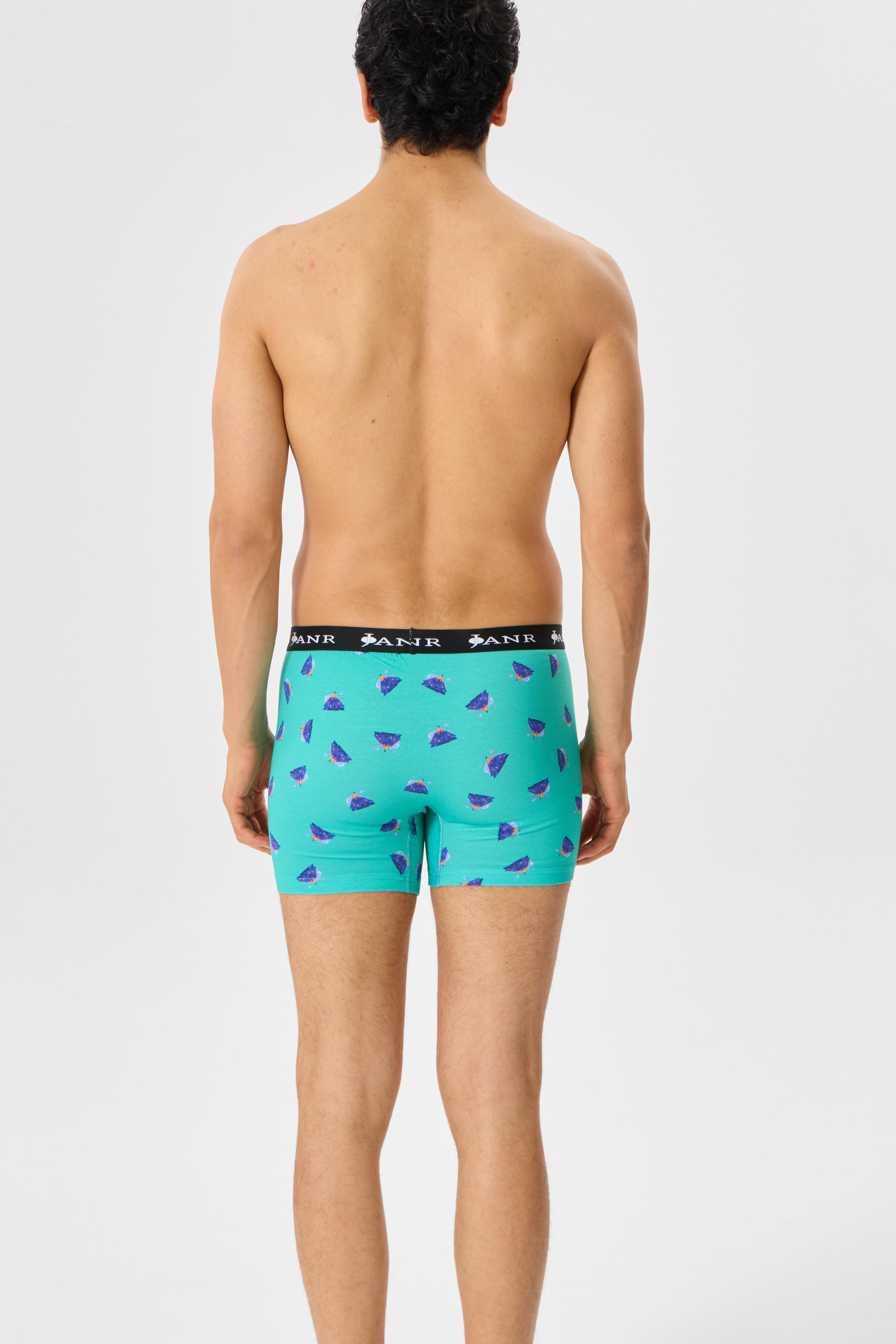 Passionate Explorations Erkek Boxer