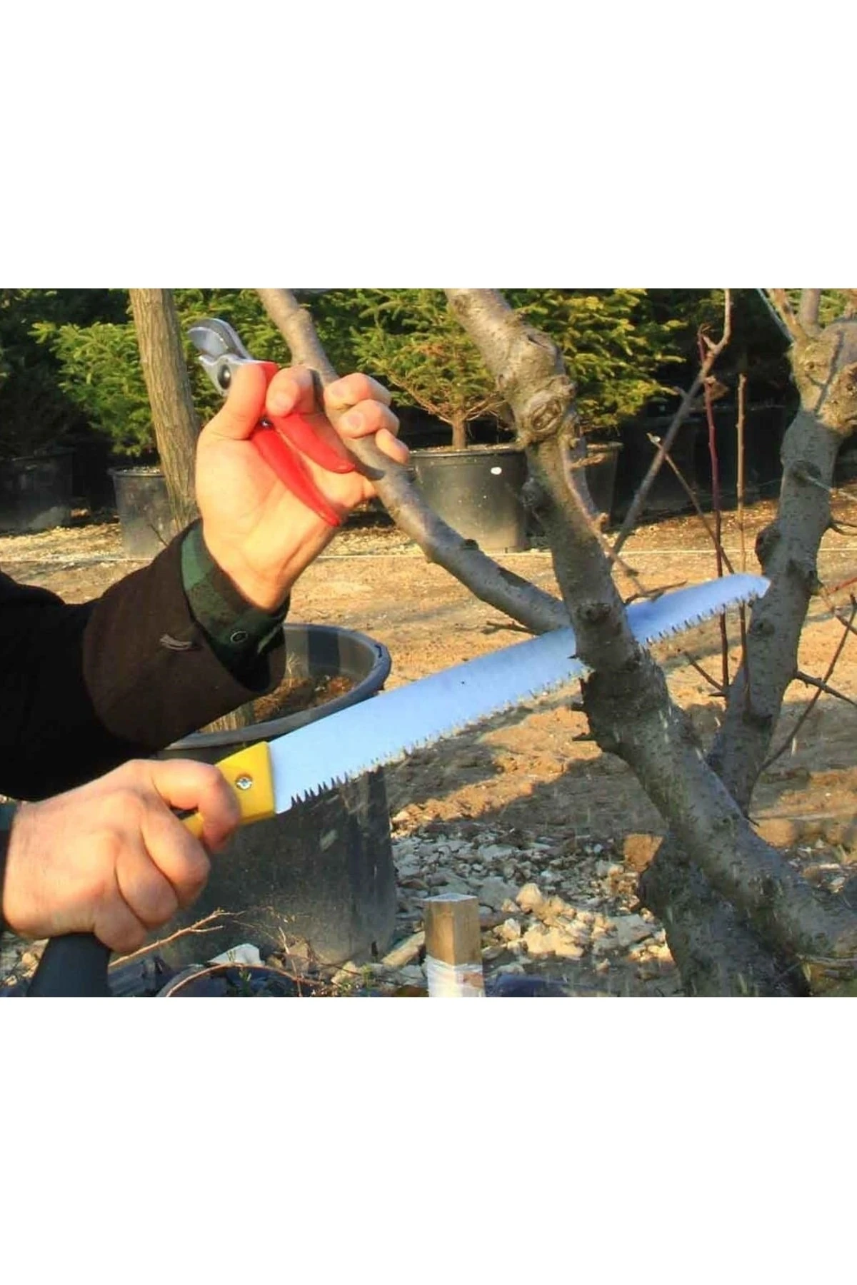 Bahçe Bağ Budama Makası Ağaç Dal Kesme Testeresi Eldivenli Bahçe Seti