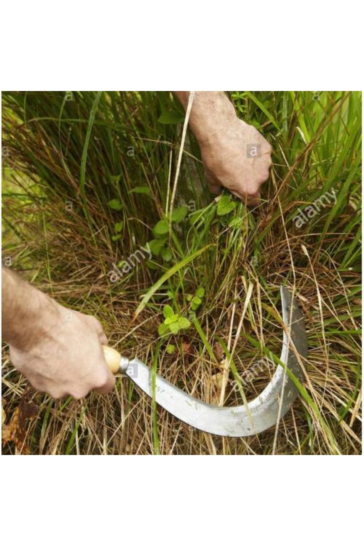 Bahçe Bağ Budama Makası Ağaç Dal Kesme Testeresi Ot Orak Tırpan Bileme Taşı