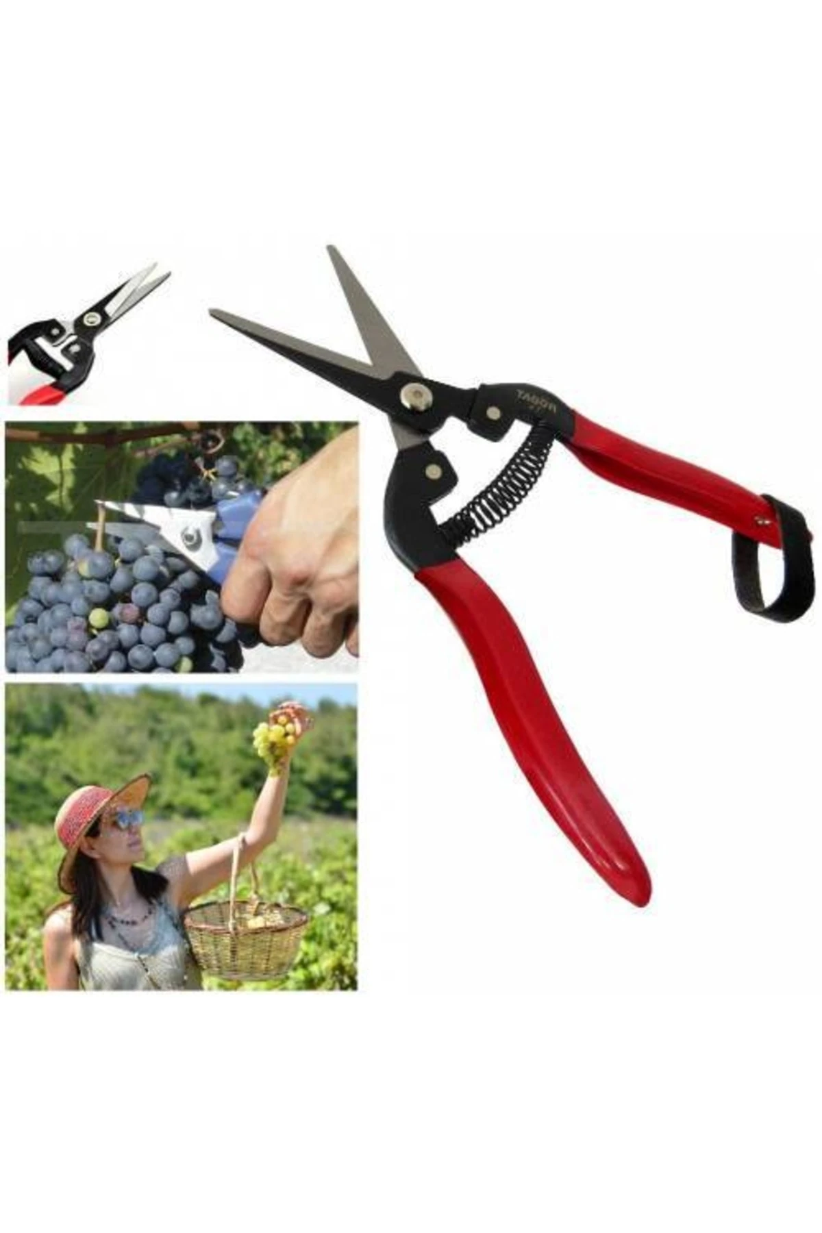 Bahçe Bağ Budama Makası Ağaç Dal Kesme Testeresi Ot Orak Tırpan Bileme Taşı
