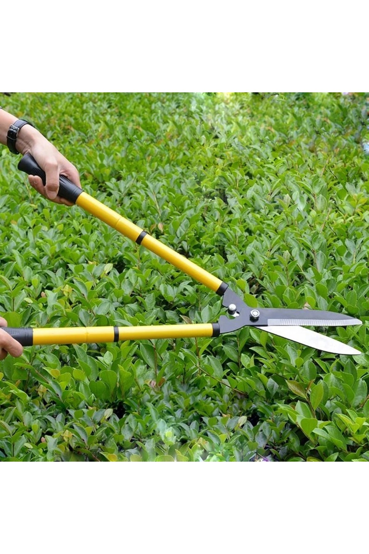 Bahçe Için Yüksek Ağaç Tepe Dal Kesme Makası Ve Çim Çit Budama Kesme Testere Seti 3 Parça