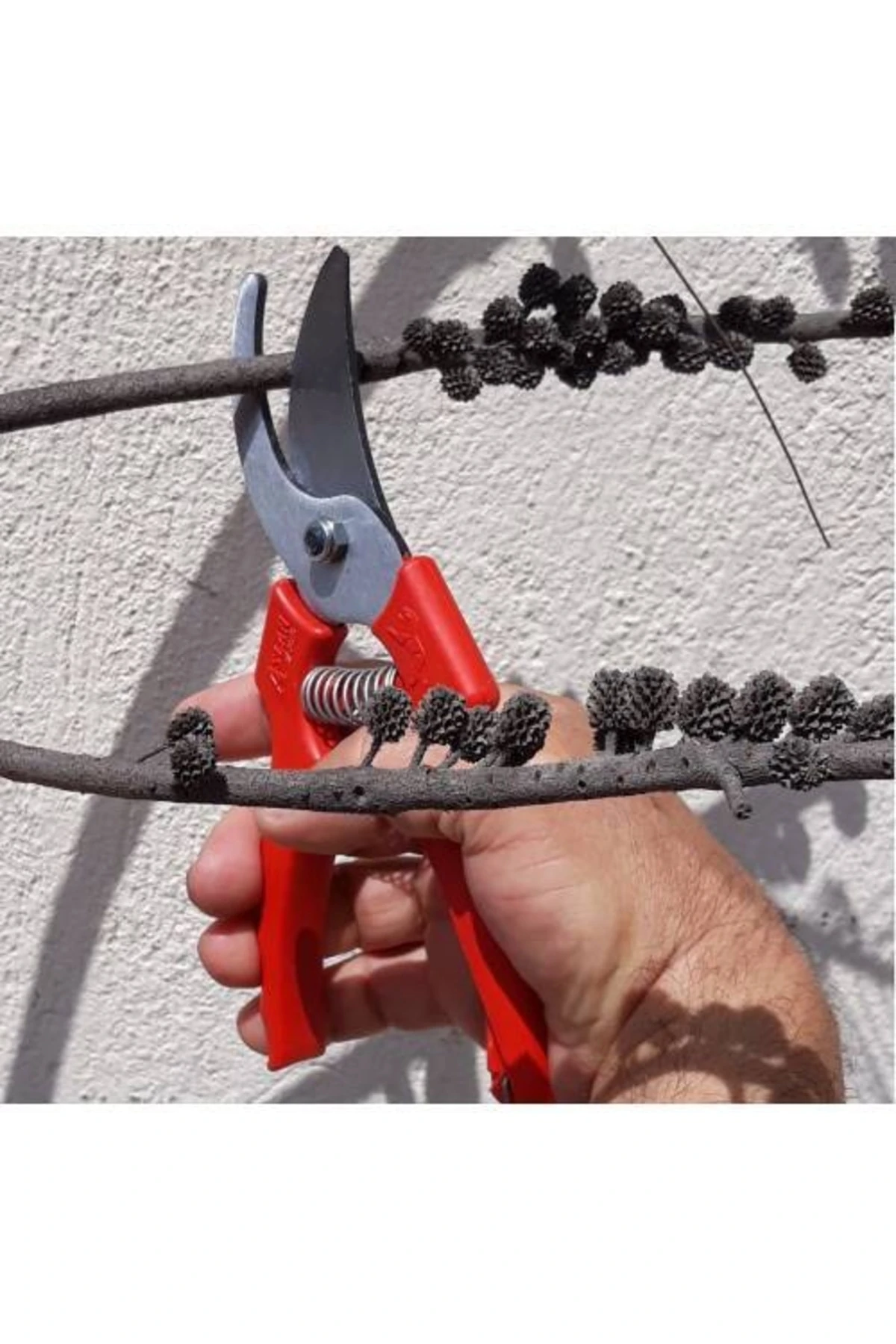 Bahçe Bağ Budama Makası Ağaç Dal Kesme Testeresi Ot Orak Tırpan Bileme Taşı