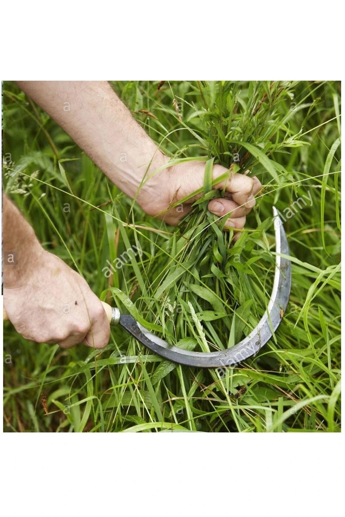 Bahçe Bağ Budama Makası Ağaç Dal Kesme Testeresi Ot Orak Çalı Tırpanı 4 Lü Bahçe Seti
