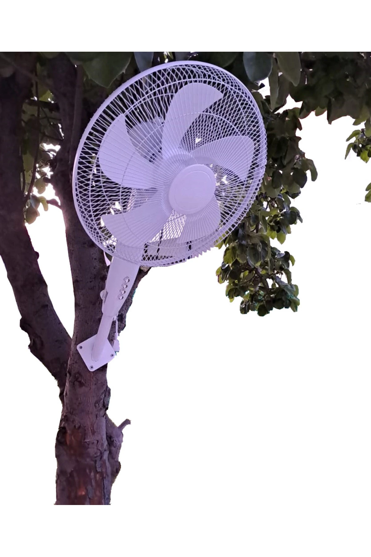 Duvar Montajlı Hava Vantilatörü 3 KademeHhız Ayarlı Pervane Sağ Sol Dönme 55w Beyaz 5 Kanat