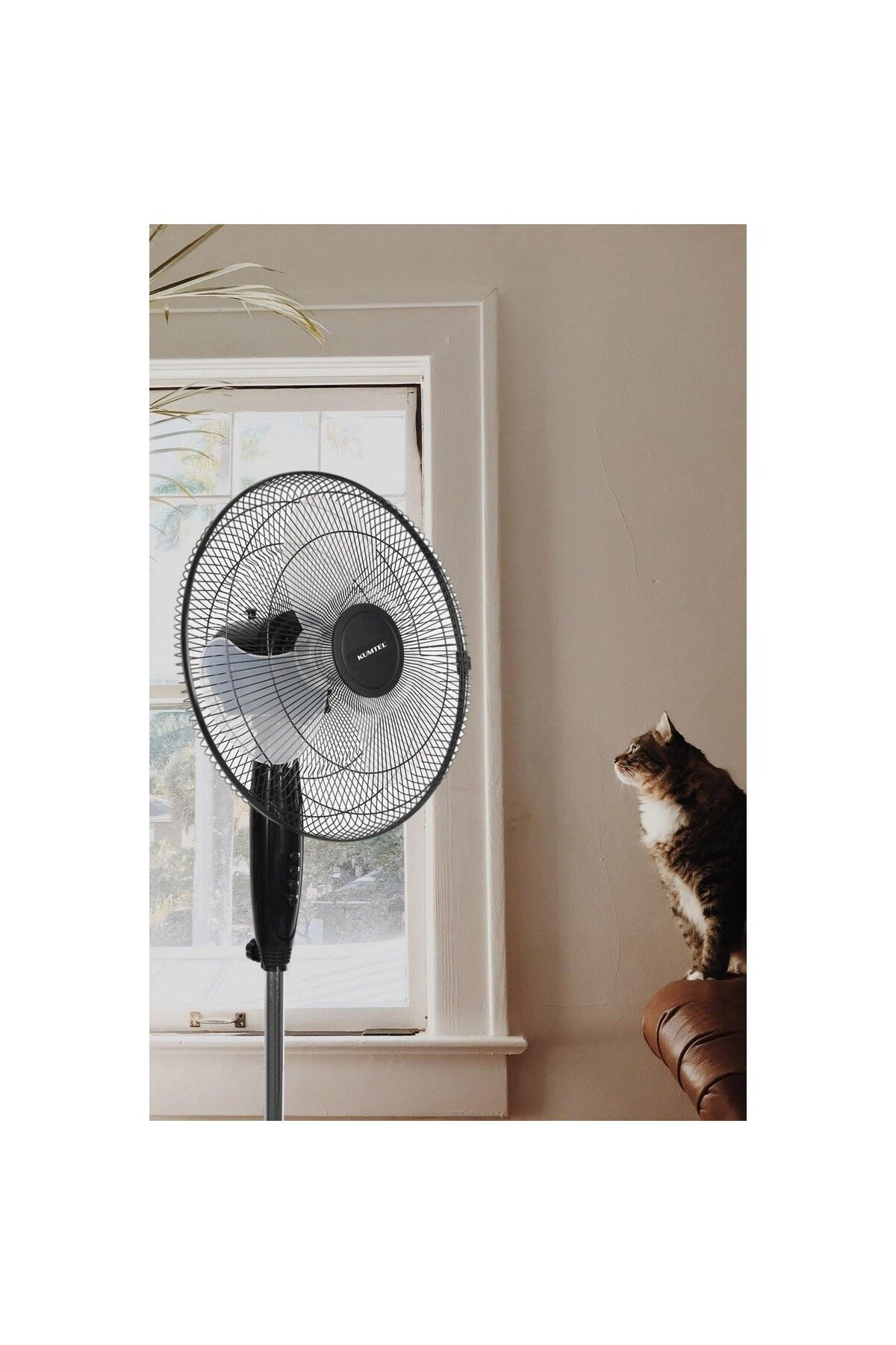 Lxf-285 Ayaklı Hava Vantilatörü 3 Kademe Hız Ayarlı Pervane Simit Ayak Vantilatör 40cm Fan