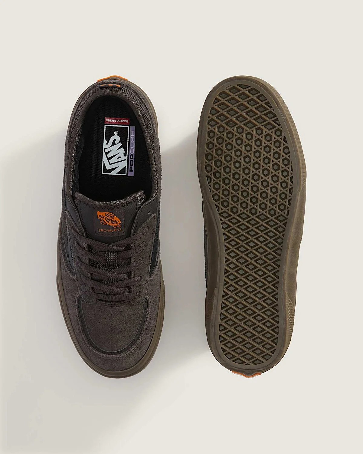 Vans Skate Rowley Blgu Ayakkabı