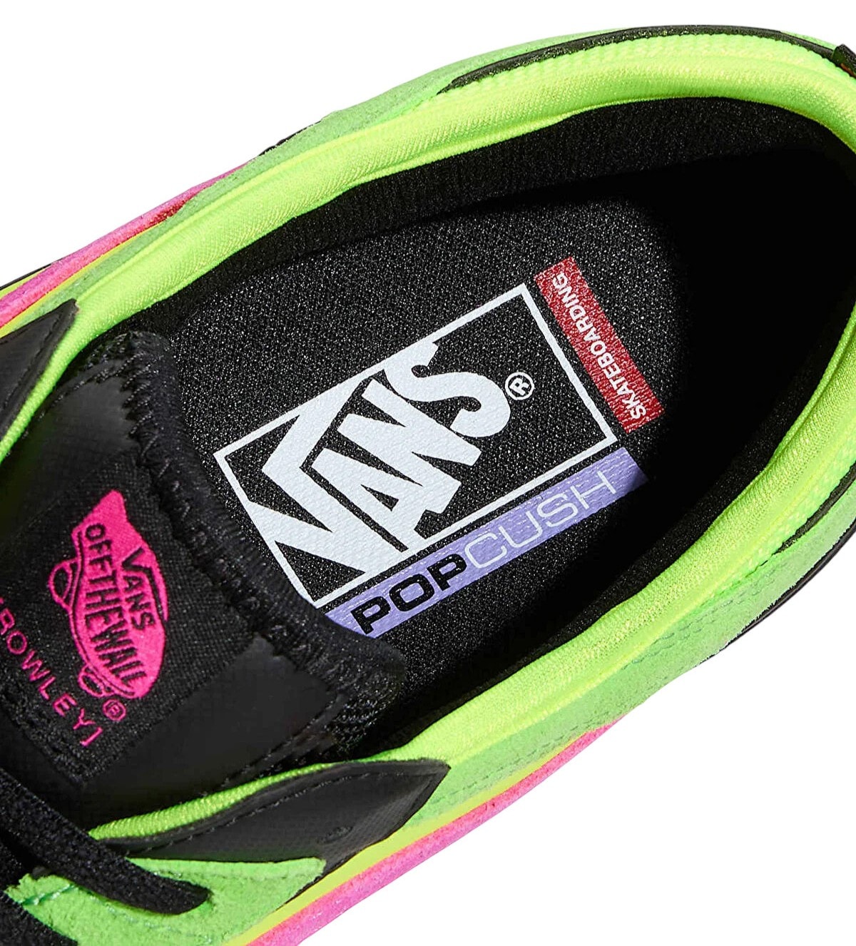 Vans Skate Rowley Pıgr Ayakkabı