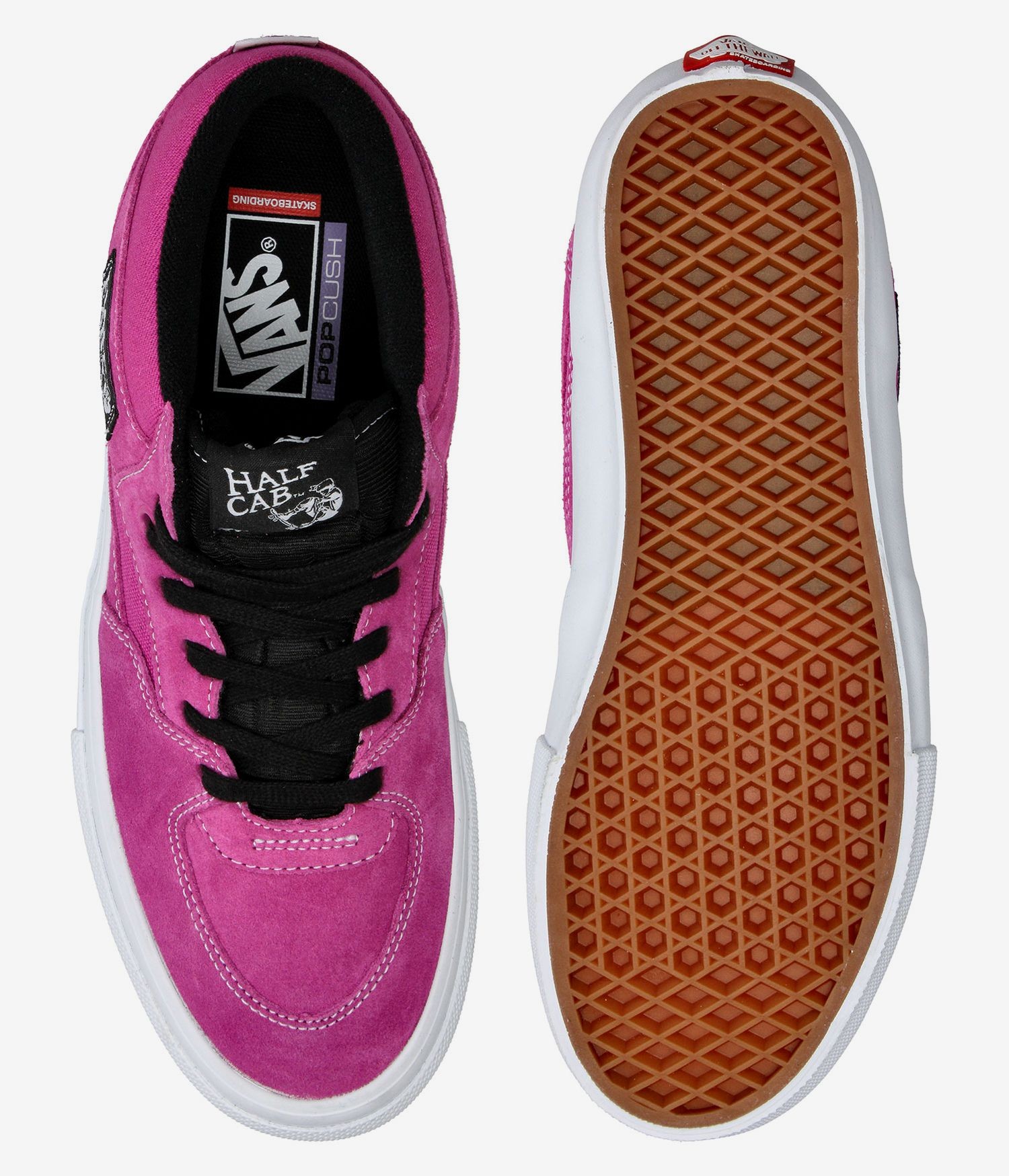 Vans Skate Half Cab Hopin Ayakkabı