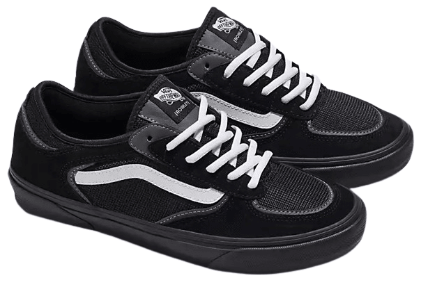 Vans Skate Rowley Blwb Ayakkabı