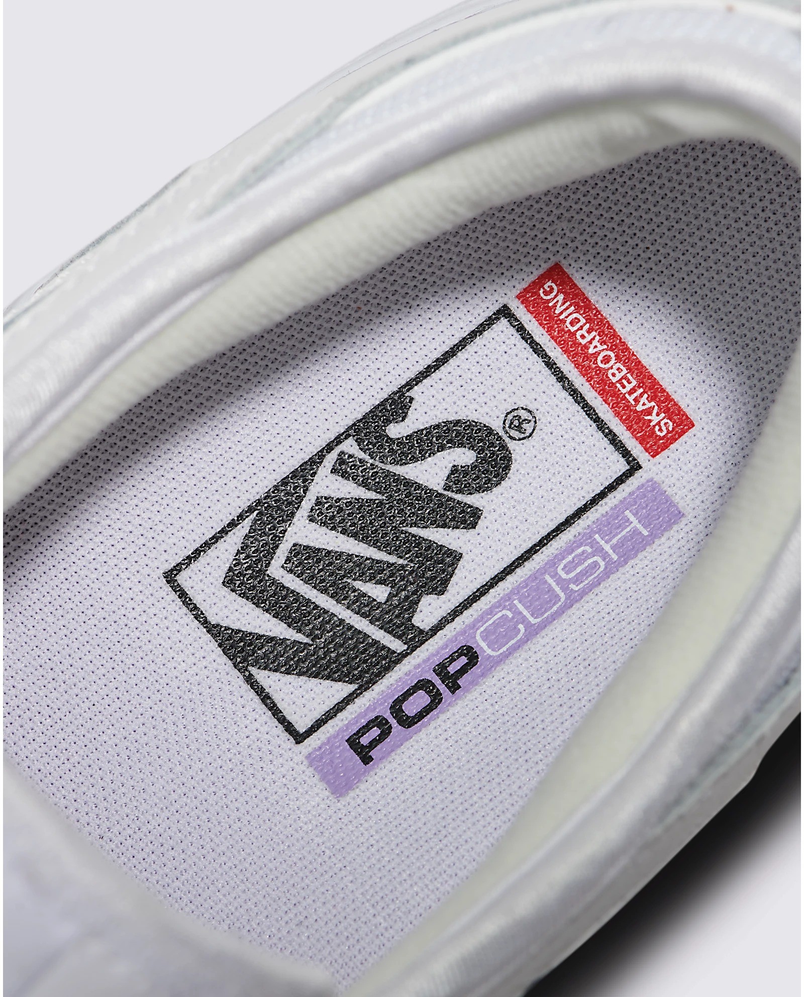 Vans Skate Rowley Whiw Ayakkabı