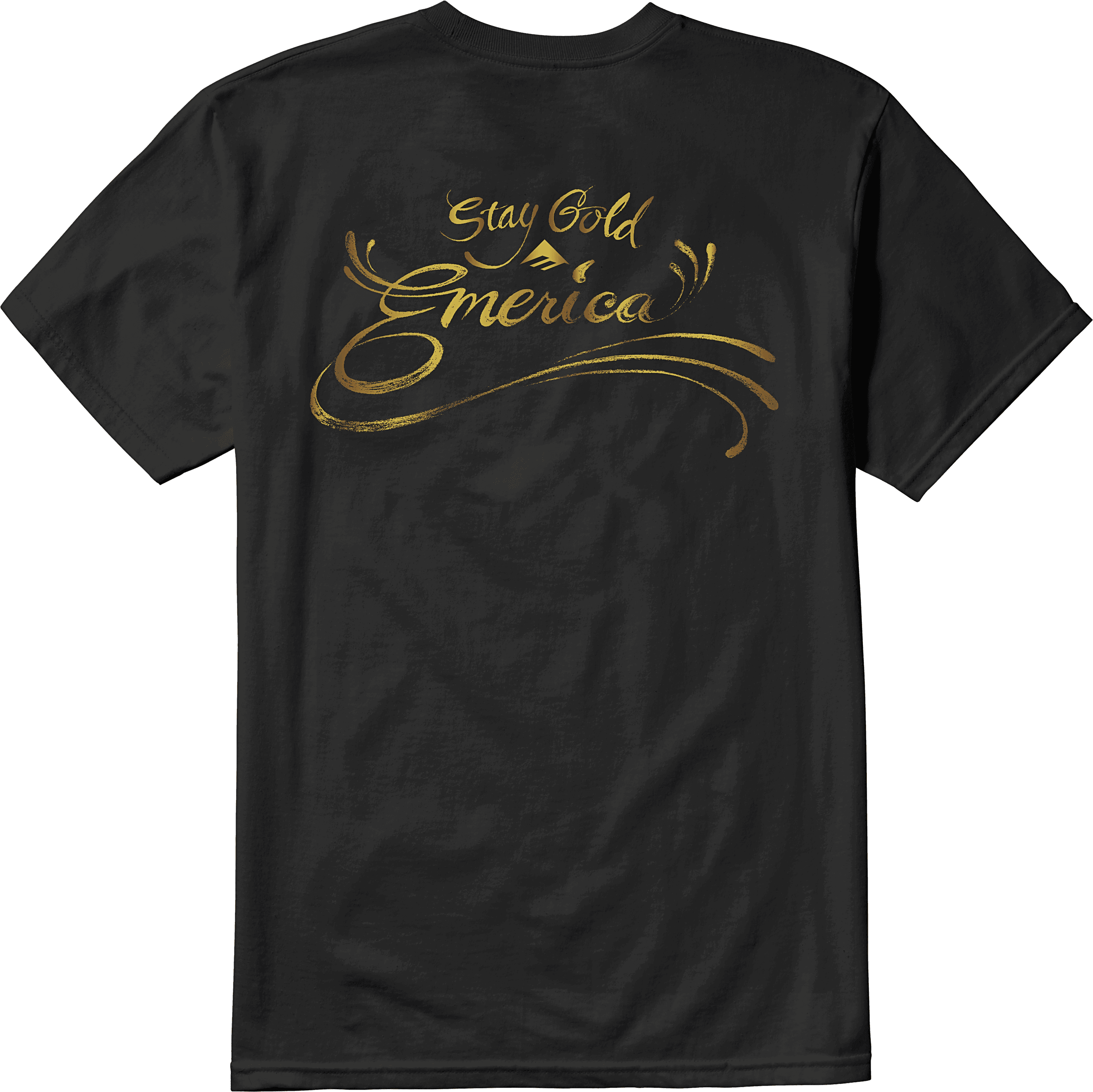 Emerica Stay Gld Sweep Blk Tişört