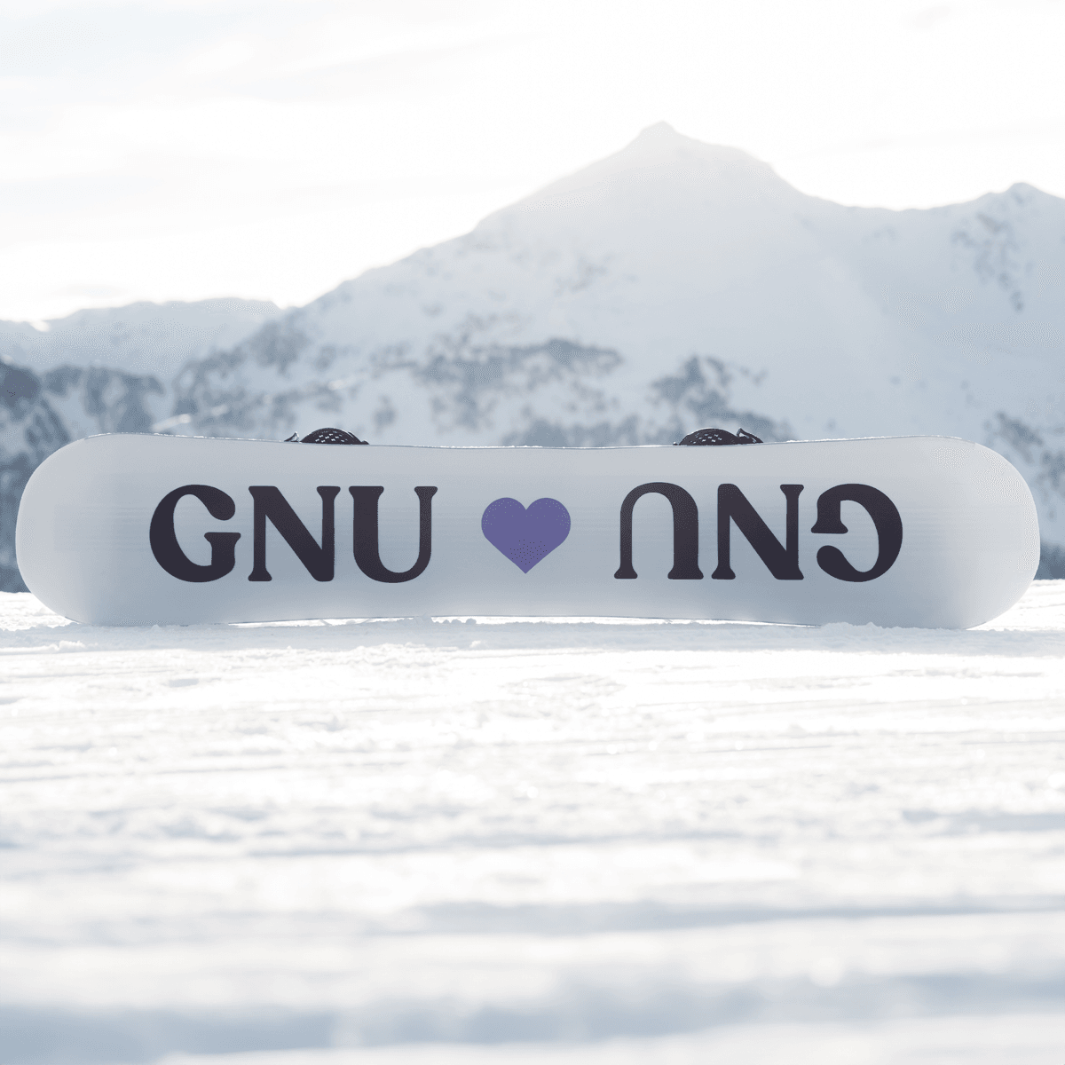 Gnu Ladies Choice 23 Snowboard