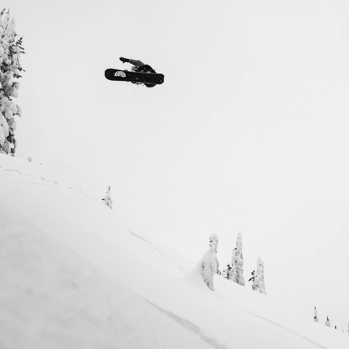 Libtech Apex Orca 2025 Snowboard