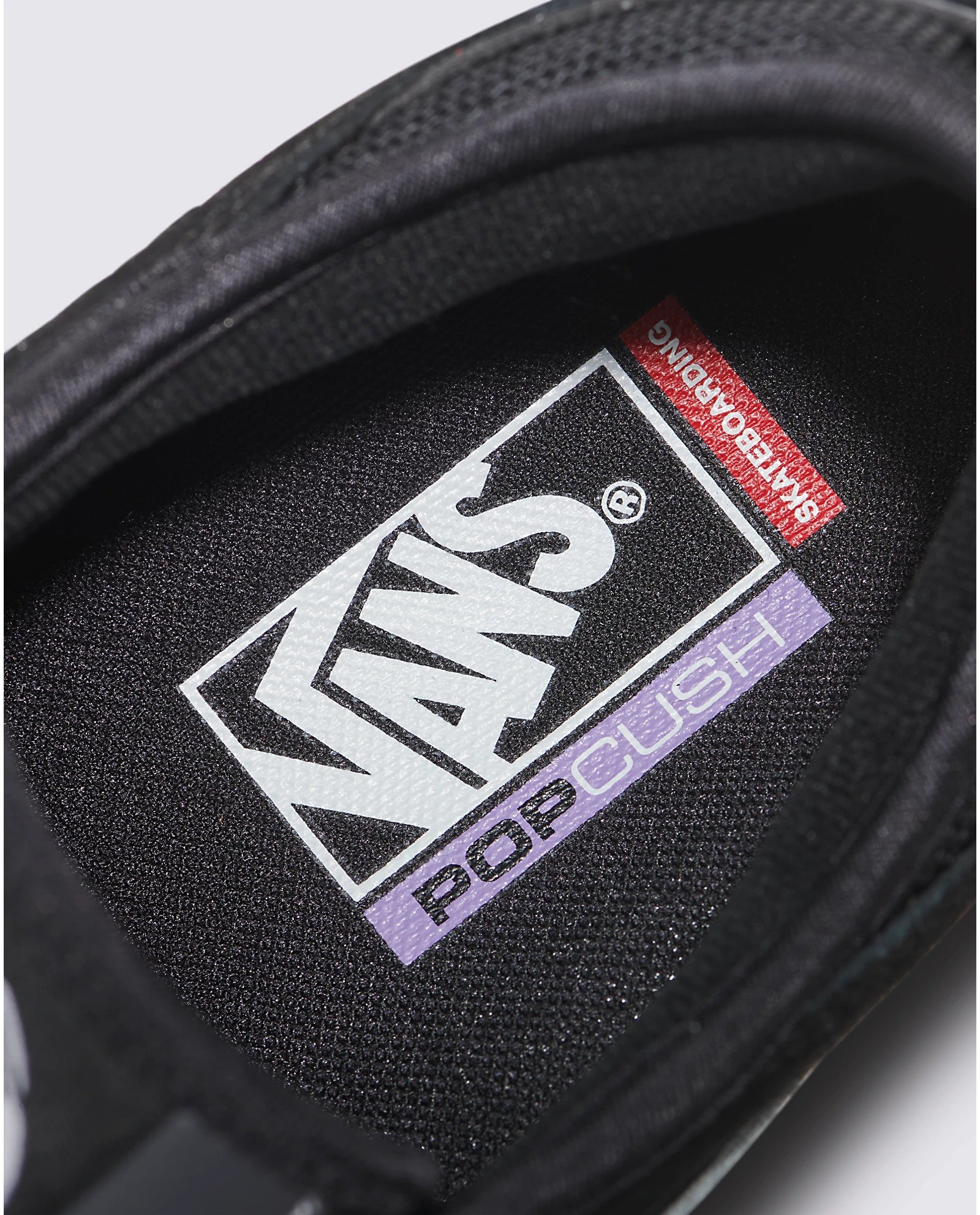 Vans Skate Rowley Blwb Ayakkabı