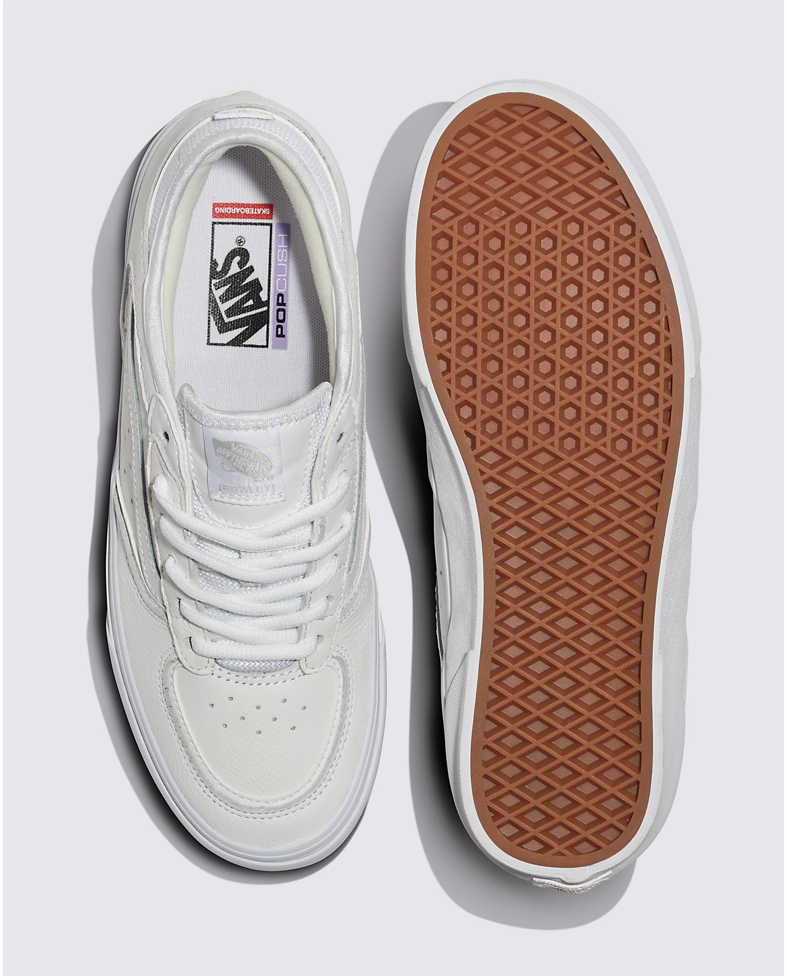 Vans Skate Rowley Whiw Ayakkabı