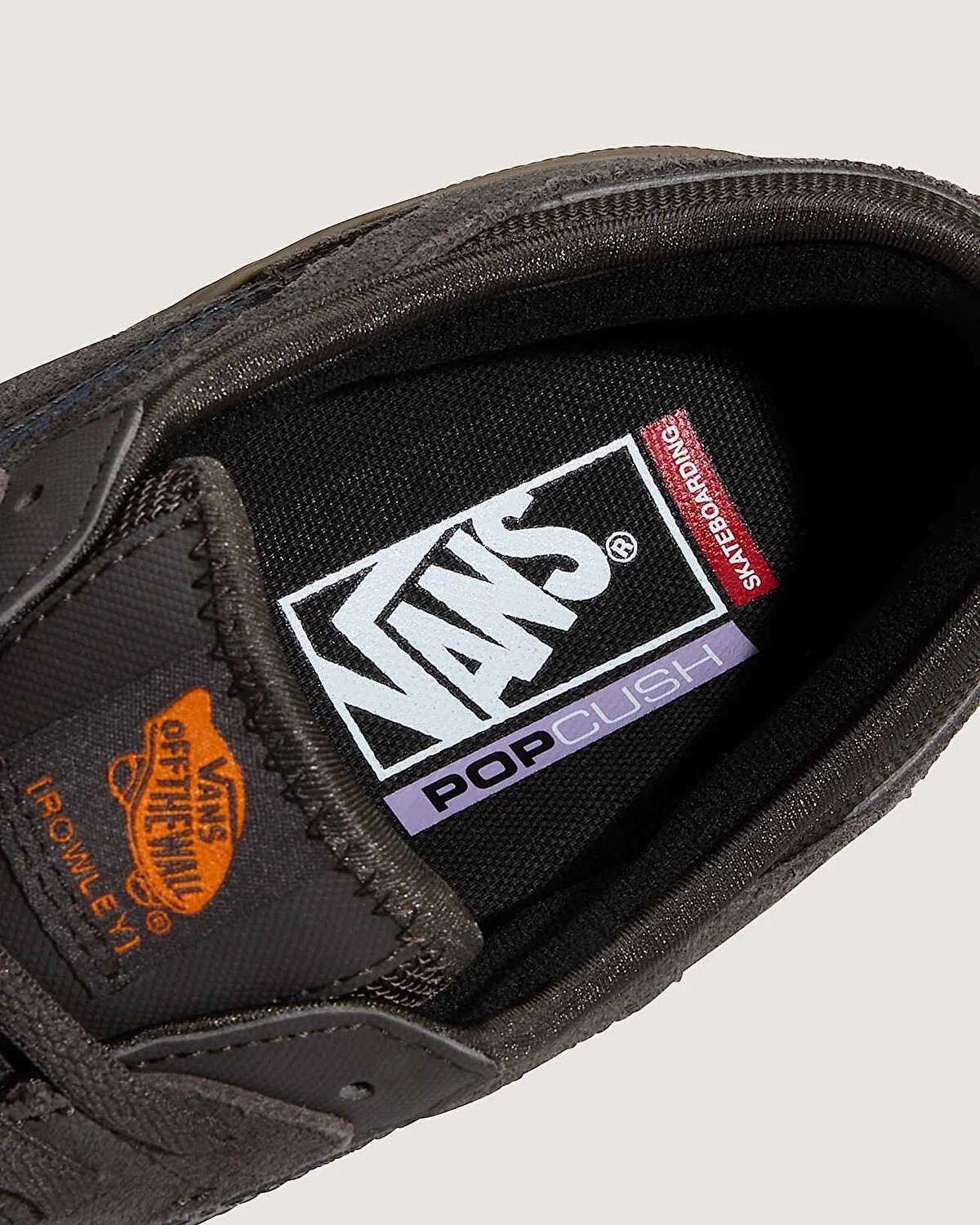 Vans Skate Rowley Blgu Ayakkabı