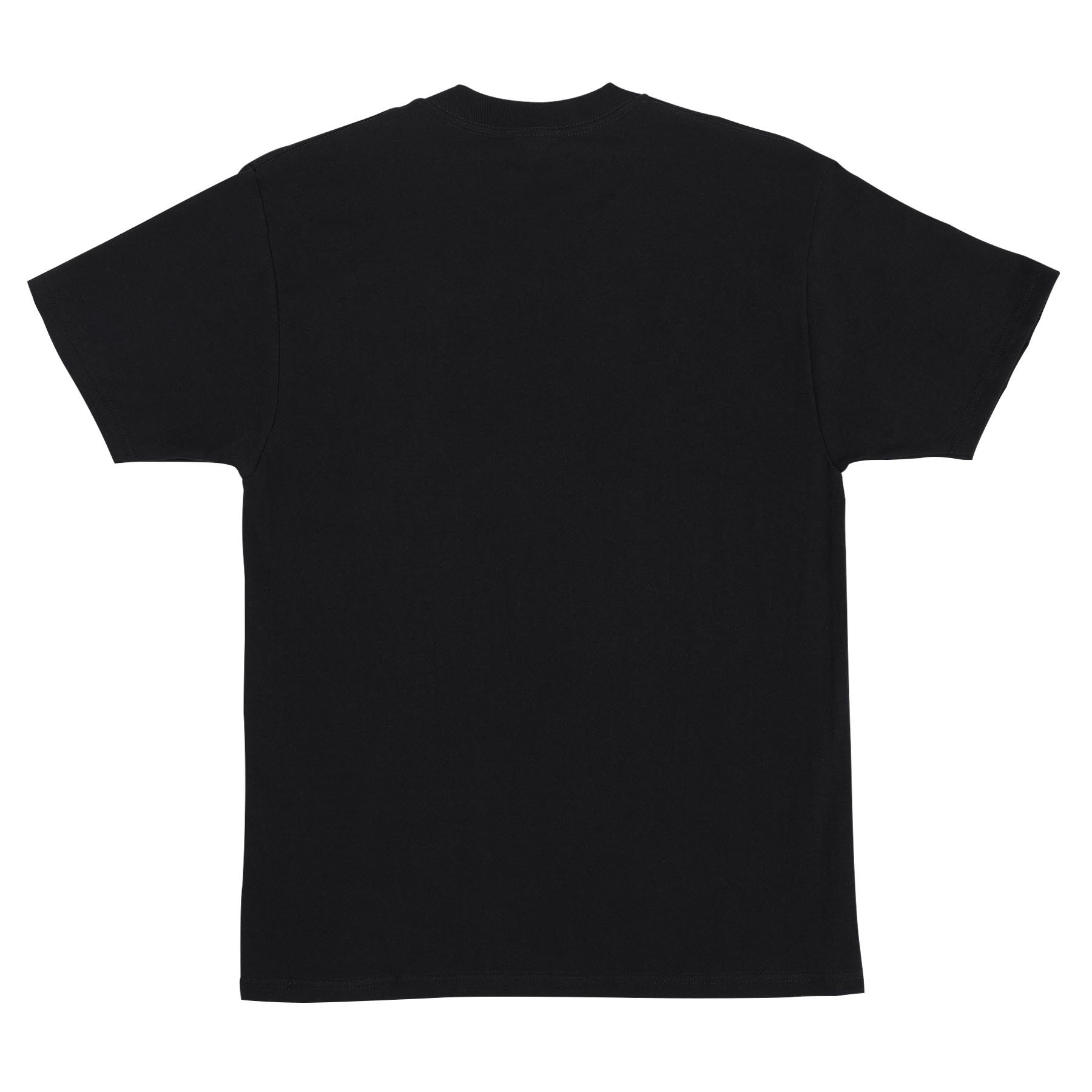 Santa Cruz Cruz Embroidered Black Tişört