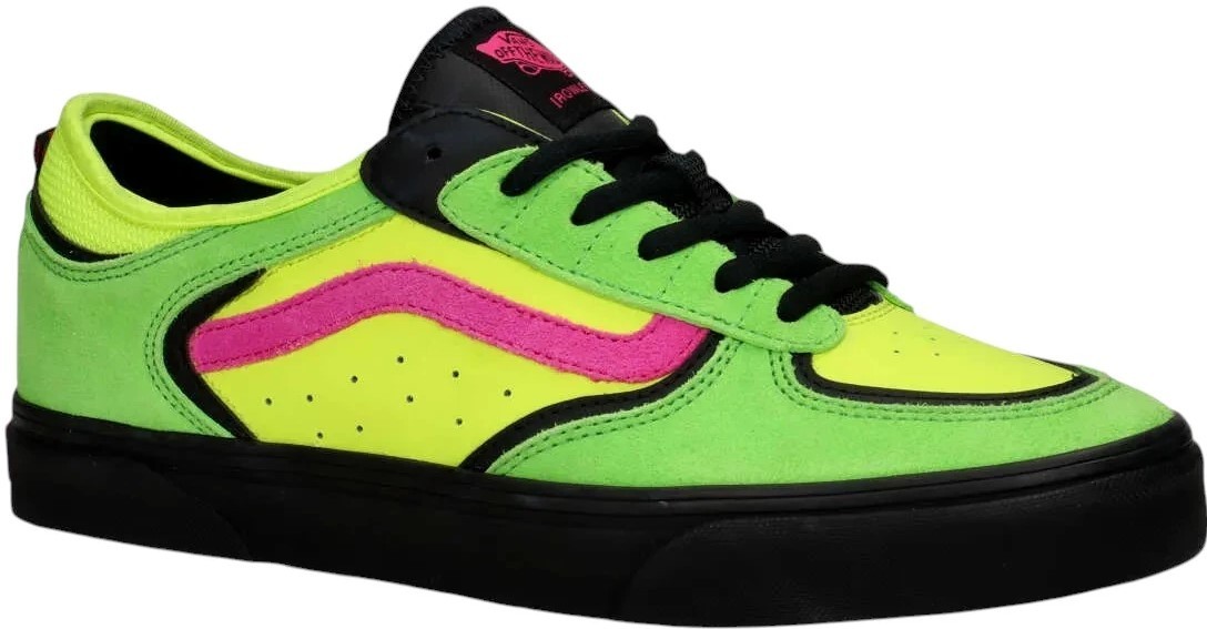 Vans Skate Rowley Pıgr Ayakkabı