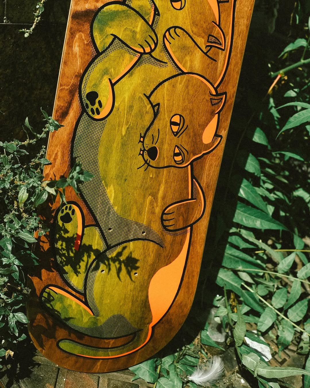 Pow Supply Co 8,375 Cat Fight Kaykay Tahtası