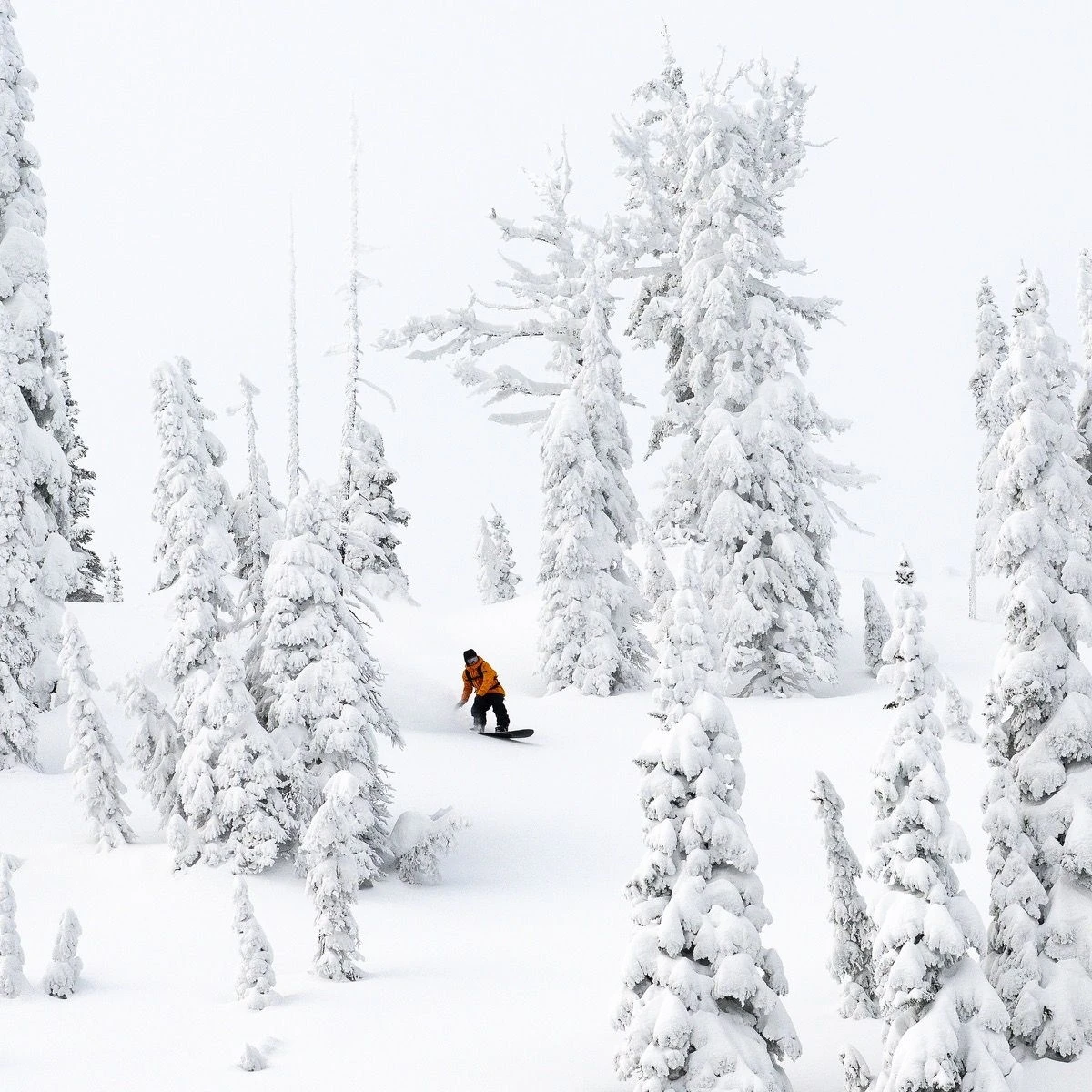 Libtech Mayhem Sweetfish 2025 Snowboard