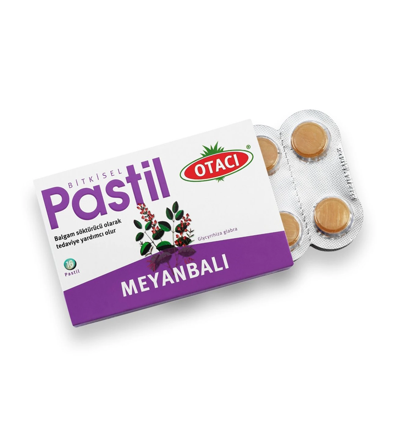 OTACI PASTİL MEYANBALI