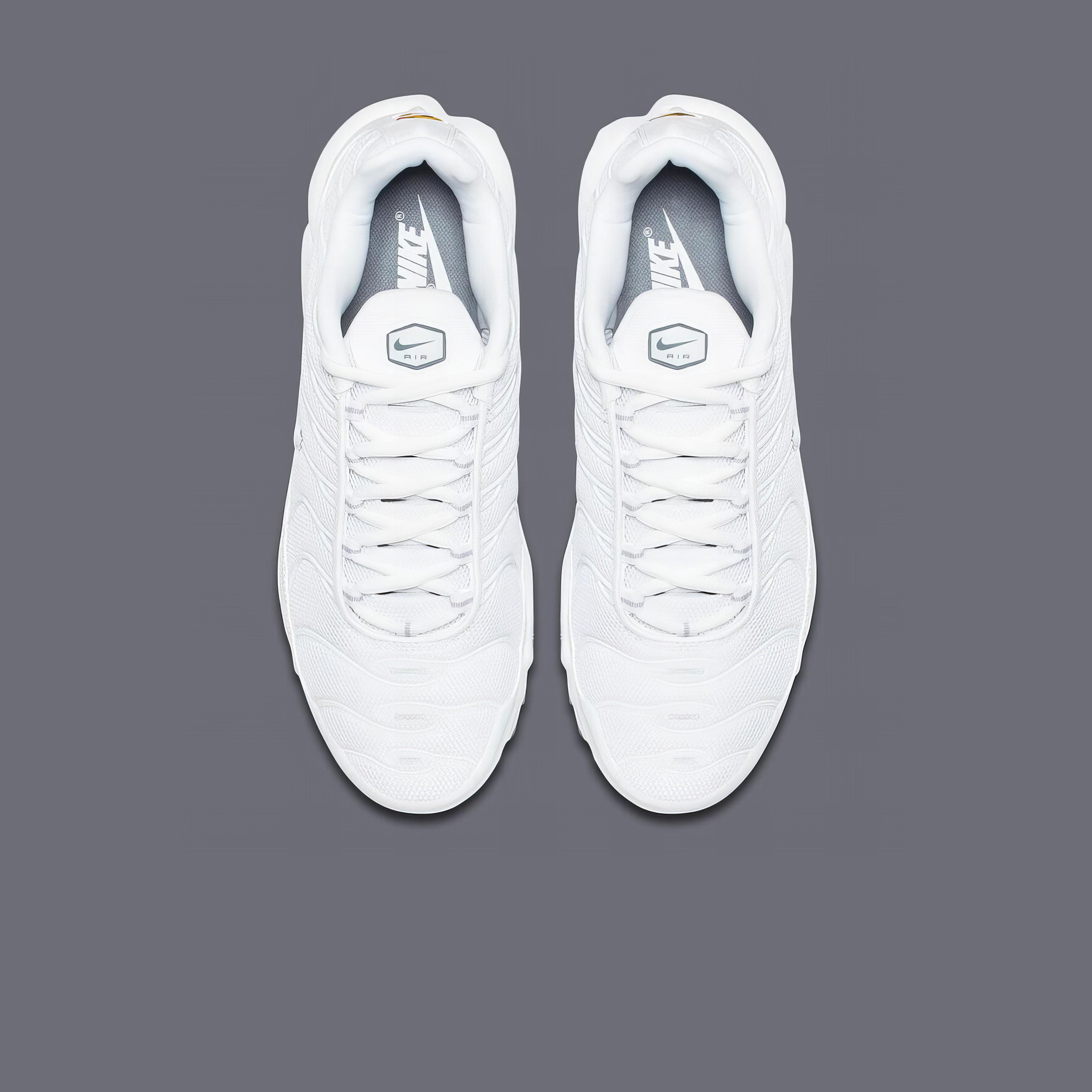 Air Max Plus Tn All White