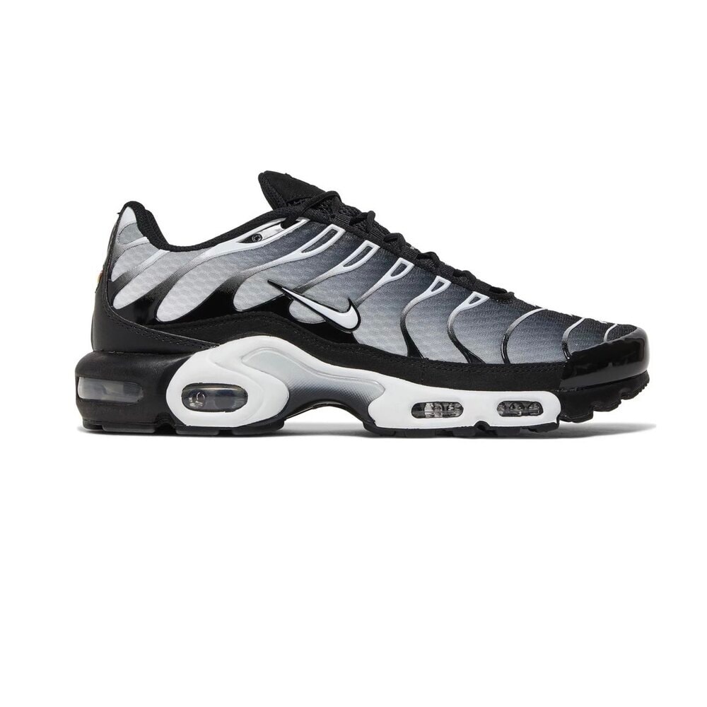 Nike Air Max Plus TN Black Metallic Silver