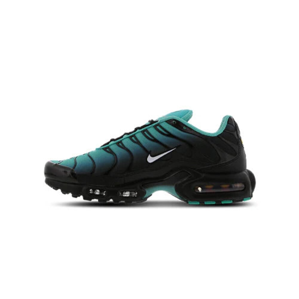 Nike Air Max Plus TN Aqua Fade