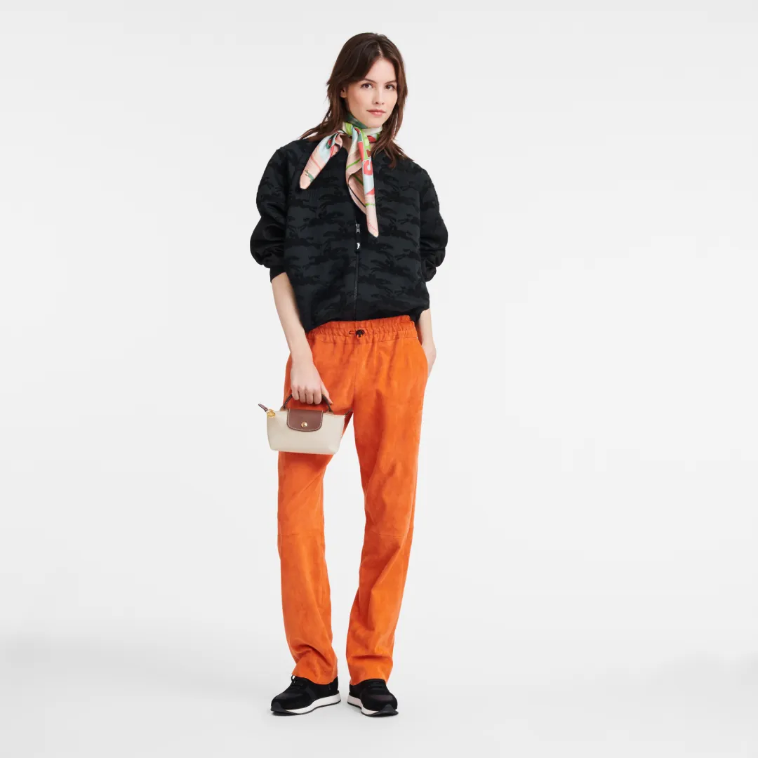 Longchamp Le Pliage 