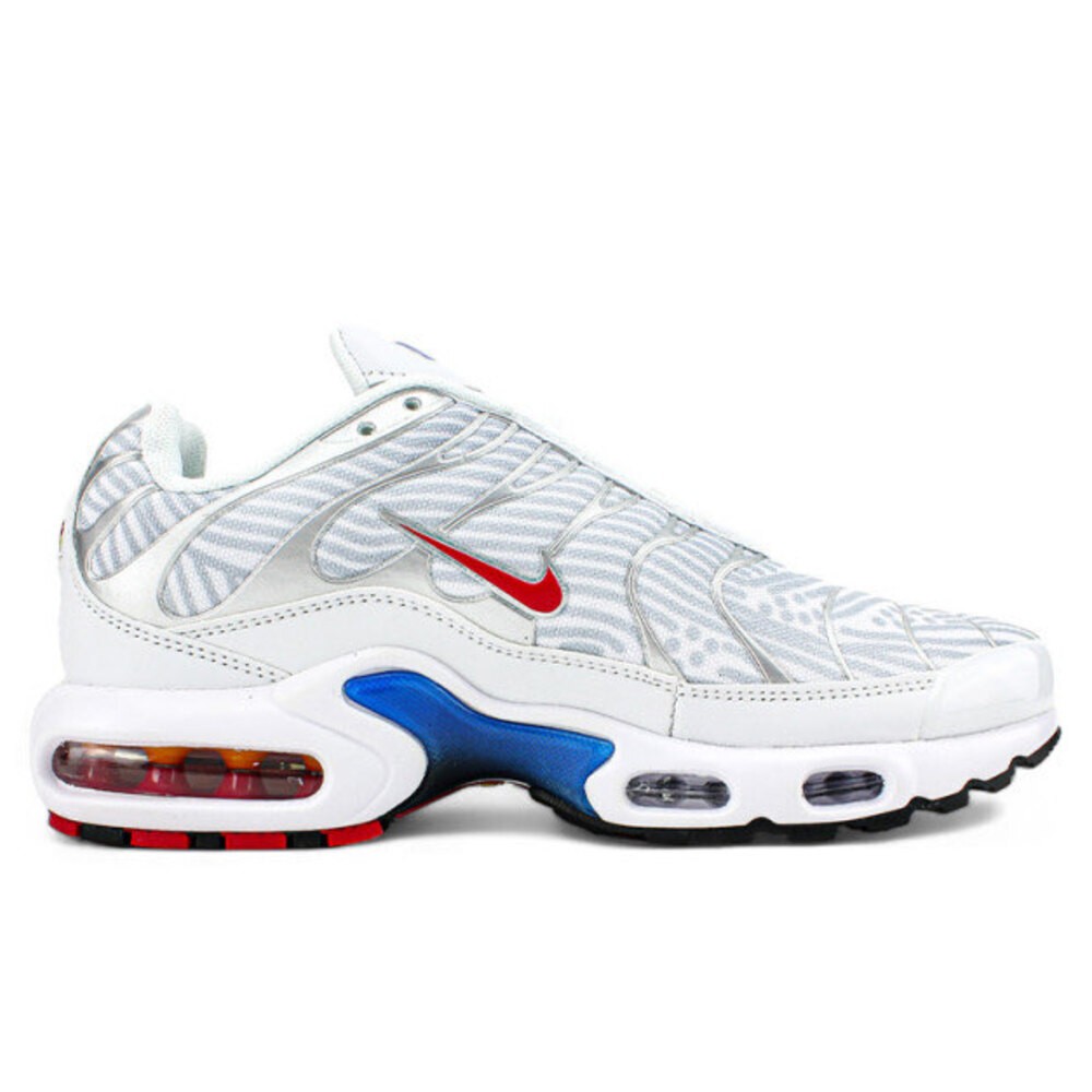 Nike Air Max Plus TN Euro Tour