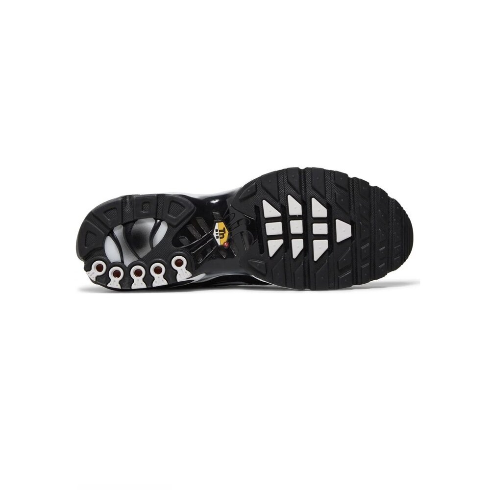 Nike Air Max Plus TN Black Metallic Silver