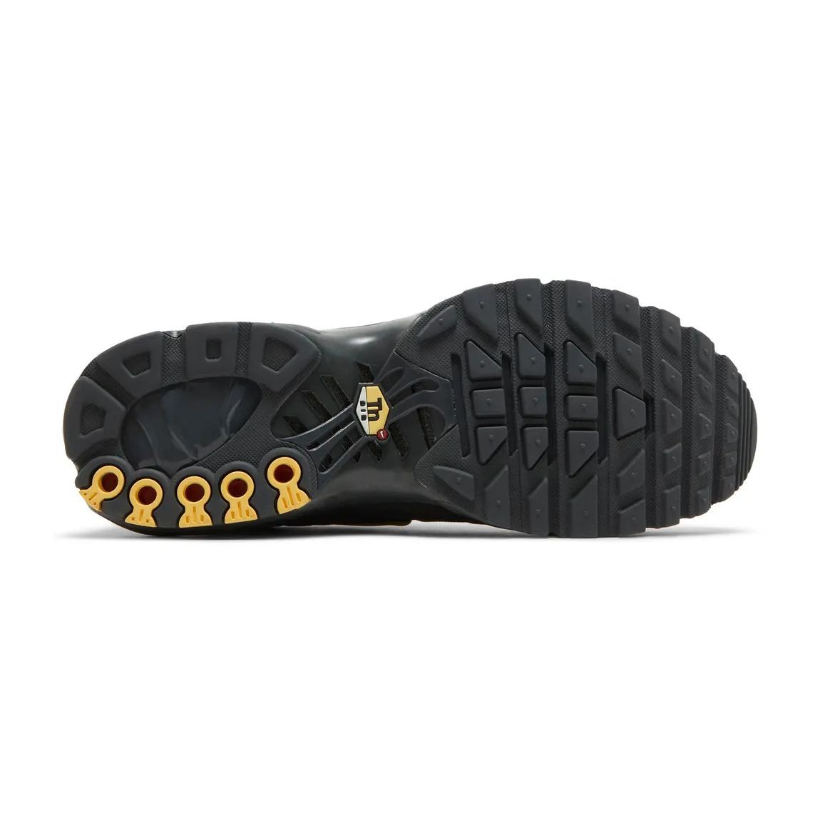 Nike Air Max Plus Black Gold