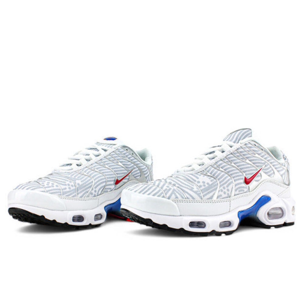 Nike Air Max Plus TN Euro Tour